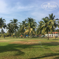 фото из отзыва ID 1672223