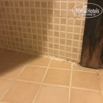 фото из отзыва ID 1672270