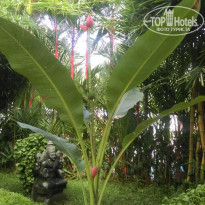 фото из отзыва ID 1672427