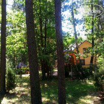 фото из отзыва ID 1672479