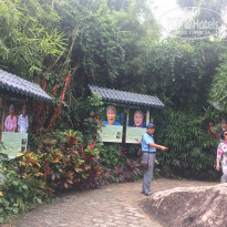 фото из отзыва ID 1672508