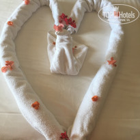 фото из отзыва ID 1672574