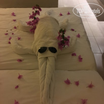 фото из отзыва ID 1672574