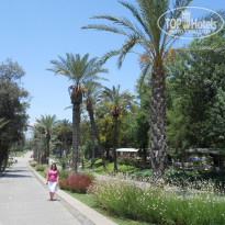 фото из отзыва ID 1672587