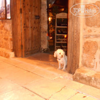 фото из отзыва ID 1672587