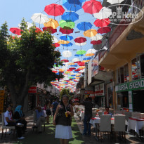 фото из отзыва ID 1672587