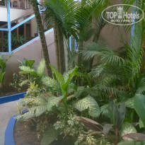 фото из отзыва ID 1672651