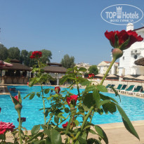 фото из отзыва ID 1672710