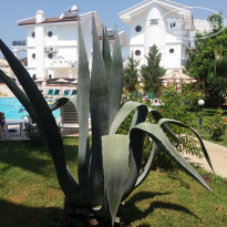 фото из отзыва ID 1672710