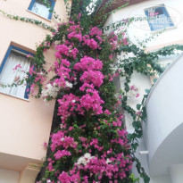 фото из отзыва ID 1672710