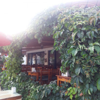 фото из отзыва ID 1672710