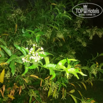 фото из отзыва ID 1672710