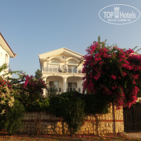 фото из отзыва ID 1672710