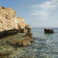 фото из отзыва ID 1672739