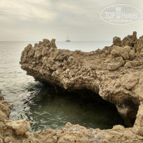 фото из отзыва ID 1672739