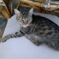 фото из отзыва ID 1672742