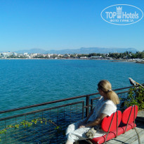 фото из отзыва ID 1672742