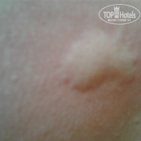 фото из отзыва ID 1672865