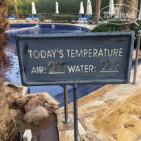 фото из отзыва ID 1672854