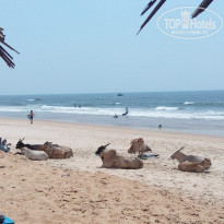 фото из отзыва ID 1673055