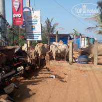 фото из отзыва ID 1673055