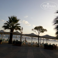 фото из отзыва ID 1672960