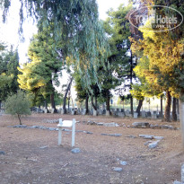 фото из отзыва ID 1672960