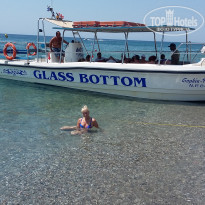 фото из отзыва ID 1673118