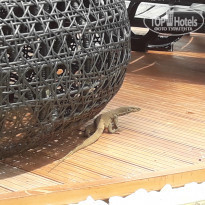 фото из отзыва ID 1673129