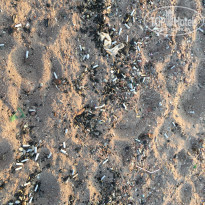 фото из отзыва ID 1673263