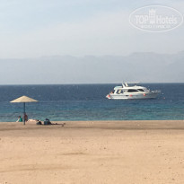 фото из отзыва ID 1673263