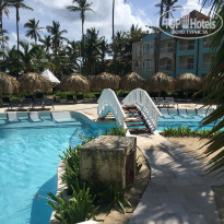 фото из отзыва ID 1672851