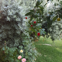 фото из отзыва ID 1673365