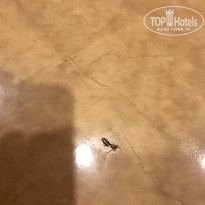 фото из отзыва ID 1673481