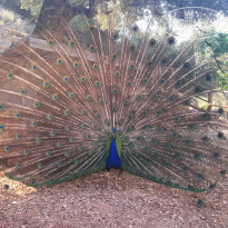 фото из отзыва ID 1673695