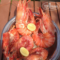 фото из отзыва ID 1673729