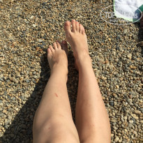 фото из отзыва ID 1673798