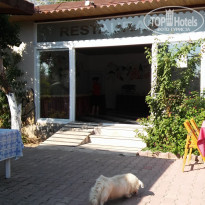 фото из отзыва ID 1673812