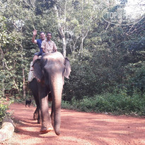 фото из отзыва ID 1673837