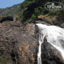 фото из отзыва ID 1673837