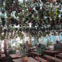 фото из отзыва ID 1673837