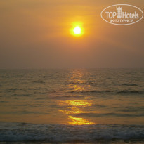 фото из отзыва ID 1673837