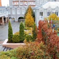 фото из отзыва ID 1673878