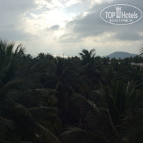 фото из отзыва ID 1673903