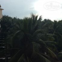 фото из отзыва ID 1673903