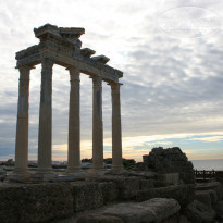 фото из отзыва ID 1674086