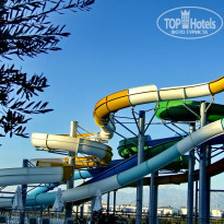 фото из отзыва ID 1672327