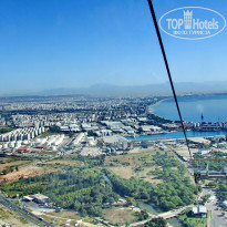 фото из отзыва ID 1672327