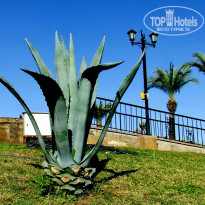 фото из отзыва ID 1672327