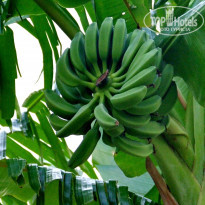 фото из отзыва ID 1672327